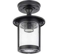 Потолочный светильник уличный IP44 Oasis Light 18205A Bl_OL