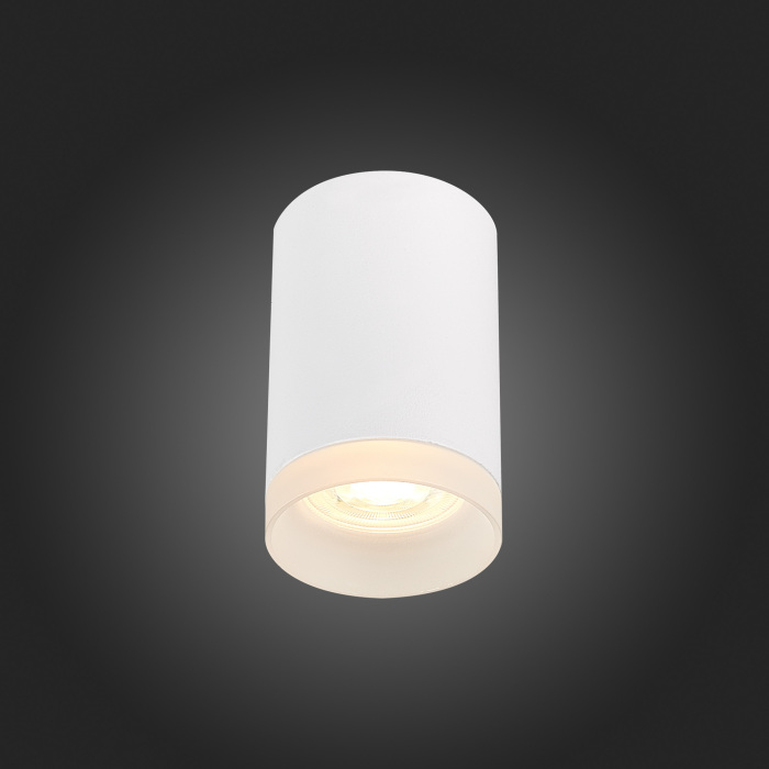 Потолочный светильник ST Luce ST100 ST100.502.01