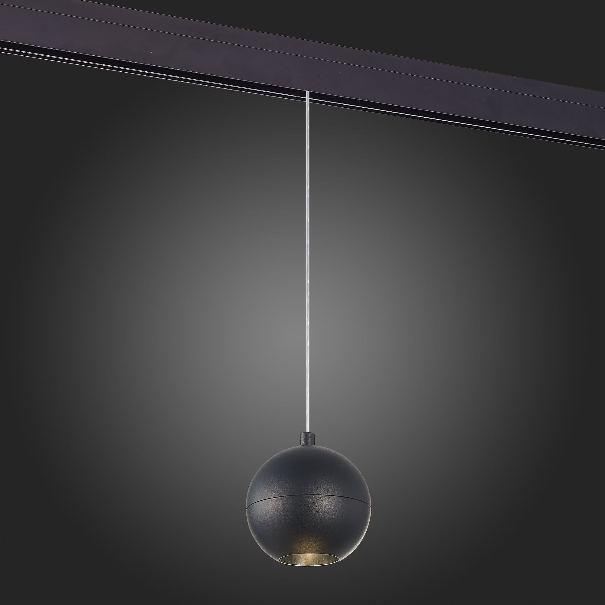 Магнитный трековый светильник ST Luce однофазный подвесной BOLE ST354.433.12