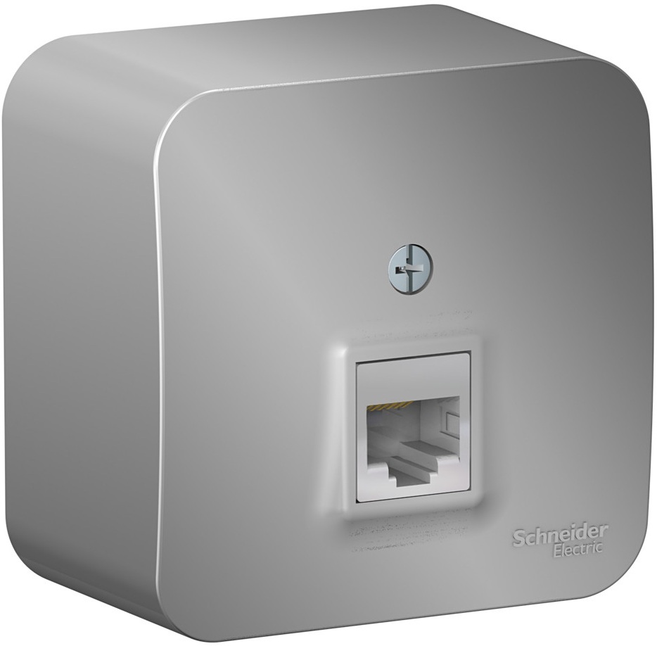 Розетка накладная Ethernet RJ-45 (алюминий) Systeme Electric BLNIA045003