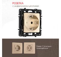 Розетка с заземлением и шторками 16A 250V Arte Milano 217.40-1.shampan