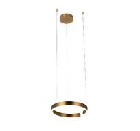 Подвесной светильник Loft IT Ring 10013S_LF
