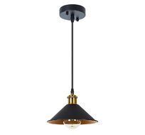 Подвесной светильник Arte Lamp CAPPELLO A7037SP-1BK