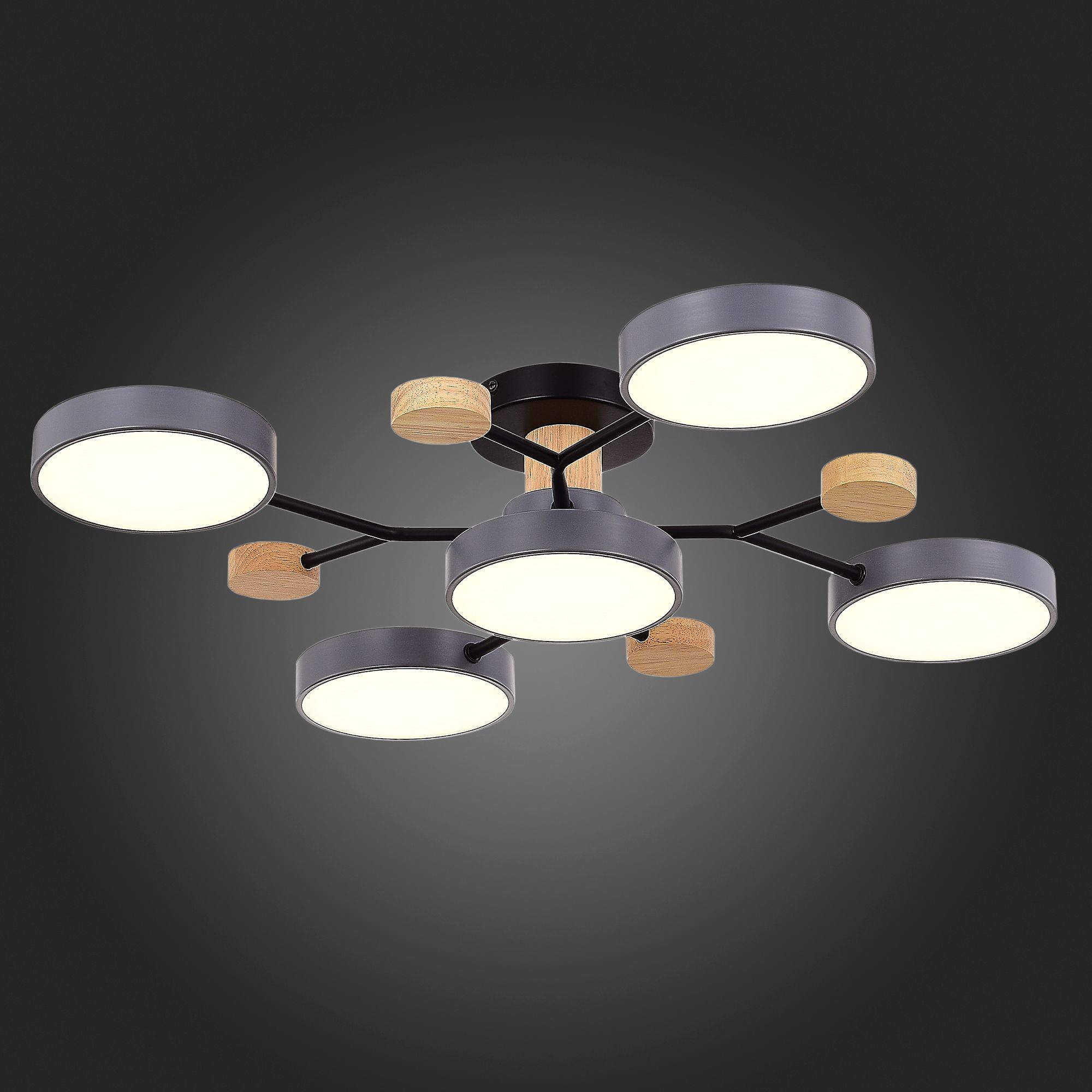 Потолочная люстра Evoluce FAEMA SLE6006-702-05