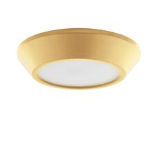 Накладной светильник LightStar заливающего света со встроенными светодиодами Urbano mini 214734_LS