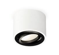 Накладной светильник Ambrella light Комплект накладного поворотного светильника Techno XS7510002_AMB