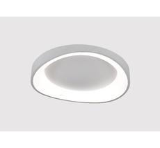 Потолочный светильник Arte Lamp SUALOCIN A2698PL-60WH