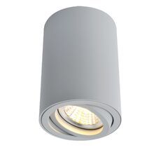 Накладной светильник ArteLamp SENTRY A1560PL-1GY