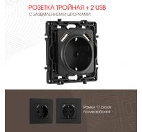Розетка с заземлением шторками + 2 USB 16A 250V USB DC 5V 2.1A Arte Milano 217.47-1.black