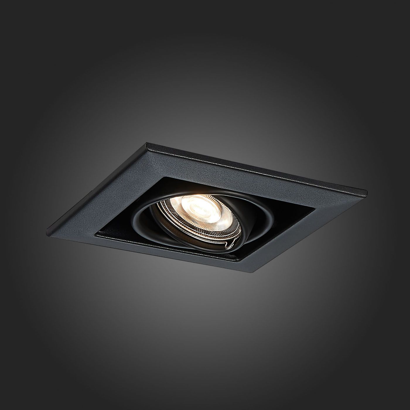 Встраиваемый светильник ST Luce FUNCZIONALE ST250.448.01