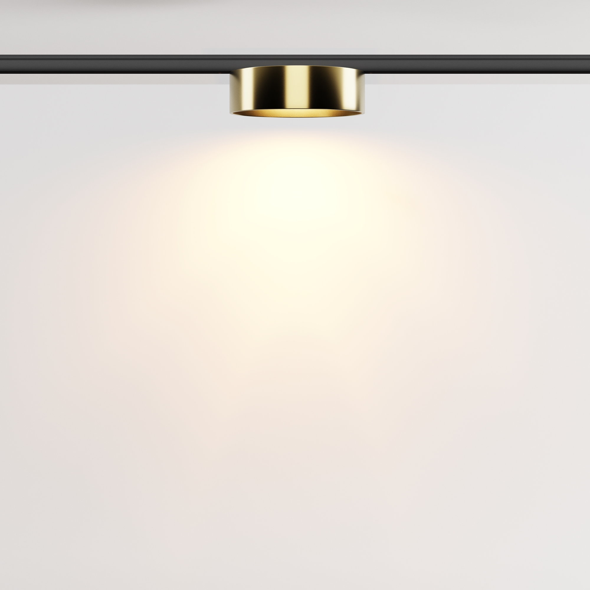 Трековый светильник Maytoni Zon TR189-1-12W2.7K-BBS_MY