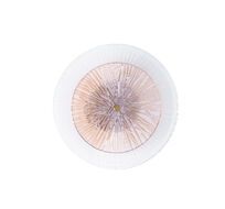 Настенный светильник Arte Lamp AJOUR A1259AP-1PB