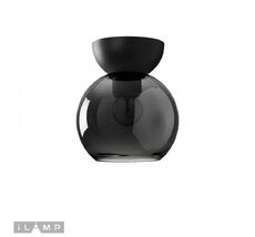 Потолочный светильник iLamp Mono C6079-1 BK+SM_IP