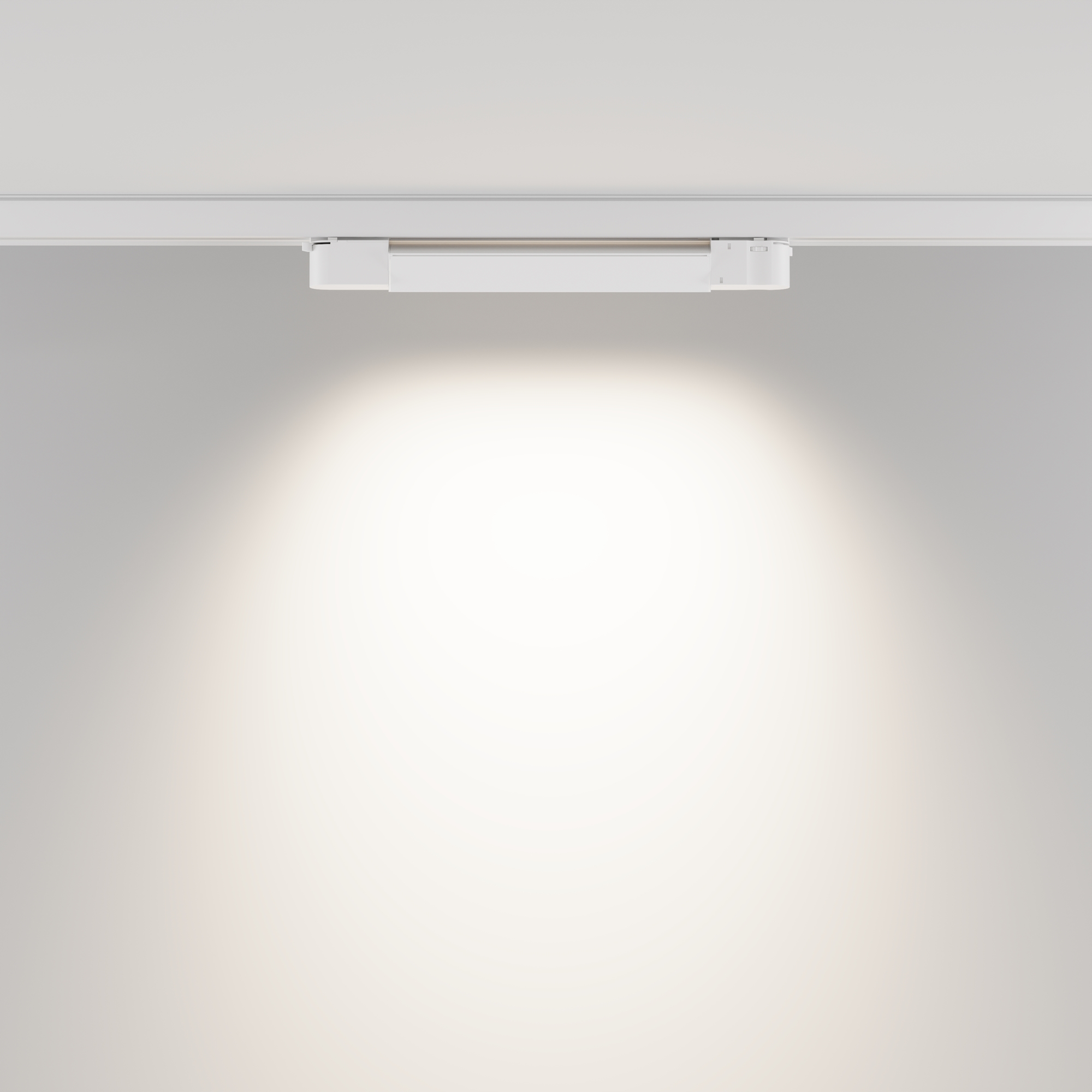 Трековый светильник трехфазный TRINITY Maytoni Basis TR196-3-10W4K-W_MY