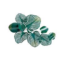Настенный декор Листья тропические Garda Decor 37SM-1156