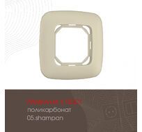 Рамка из поликарбоната на 1 пост Arte Milano 505.05-1.shampan