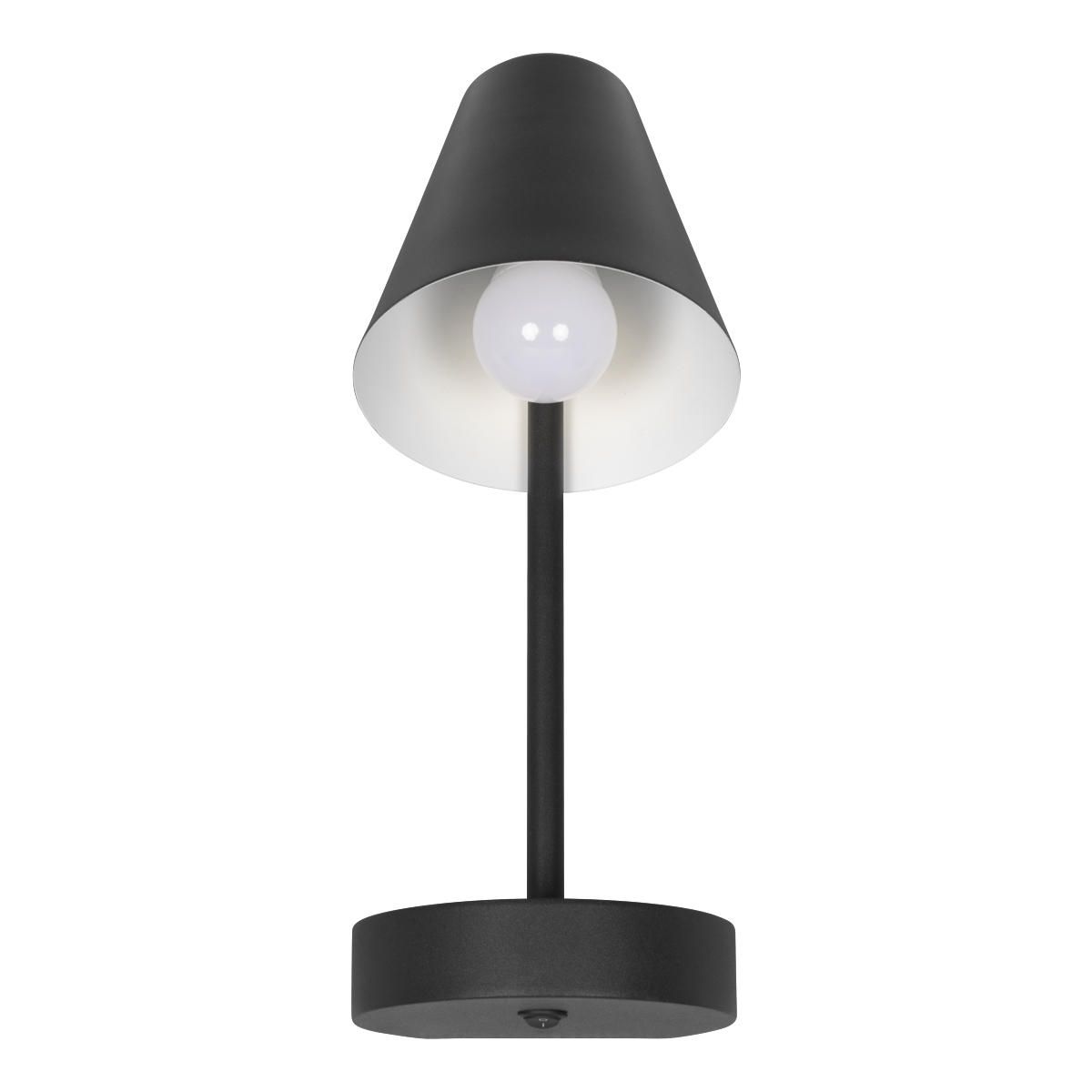 

Настенный светильник Loft IT Shelf 10216/1W Black, 10216/1W Black