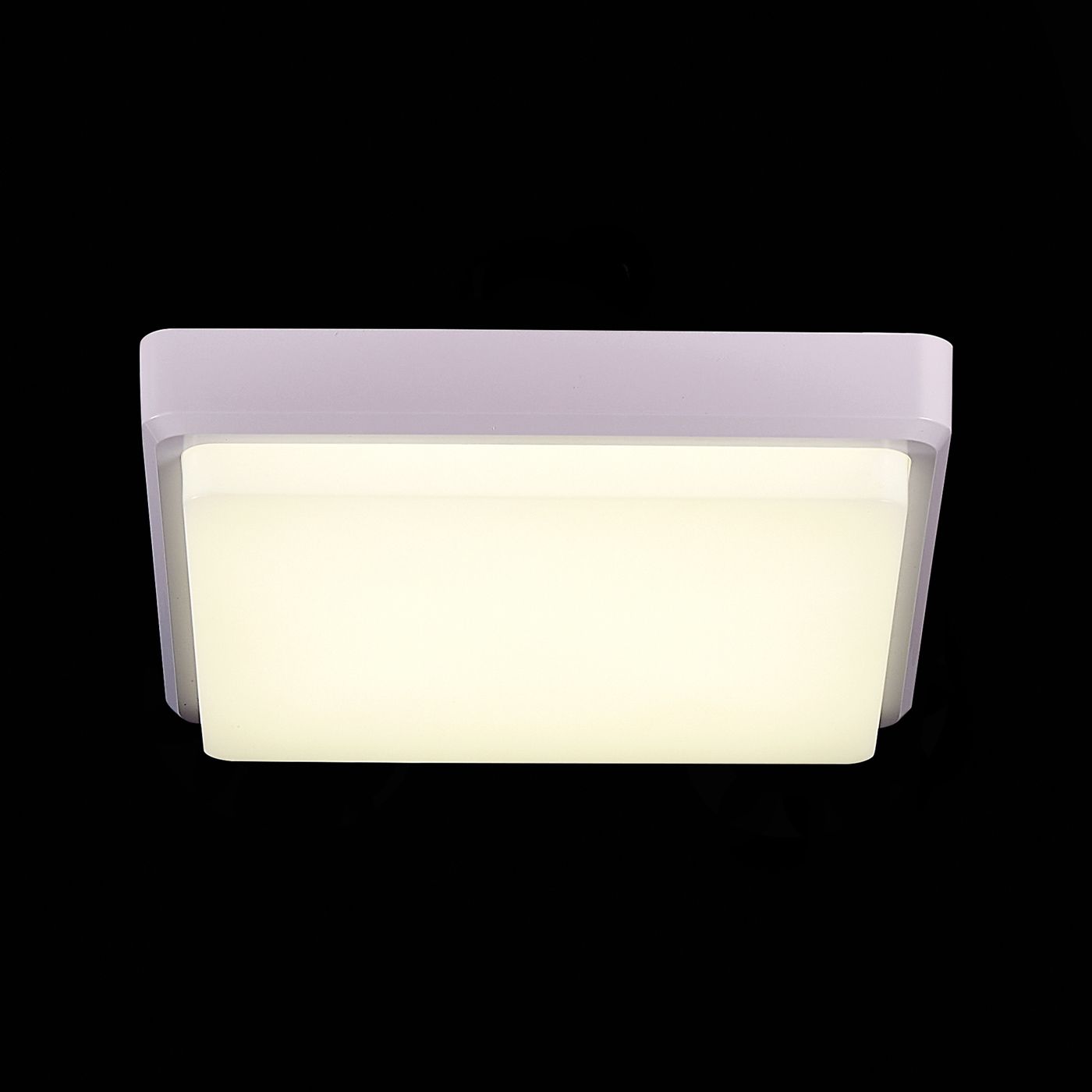 Потолочный светильник Evoluce TADDIO SLE200212-01