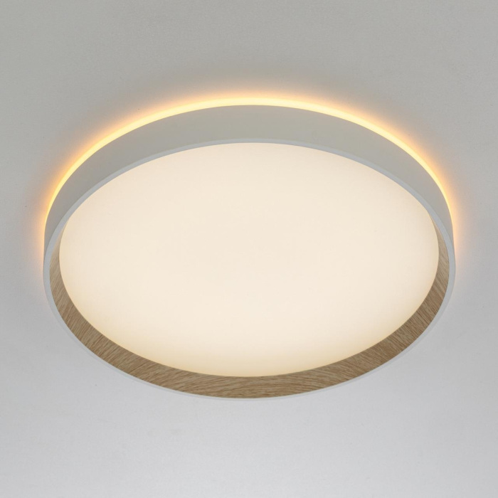 Потолочный светильник Citilux Etalon CL750320R