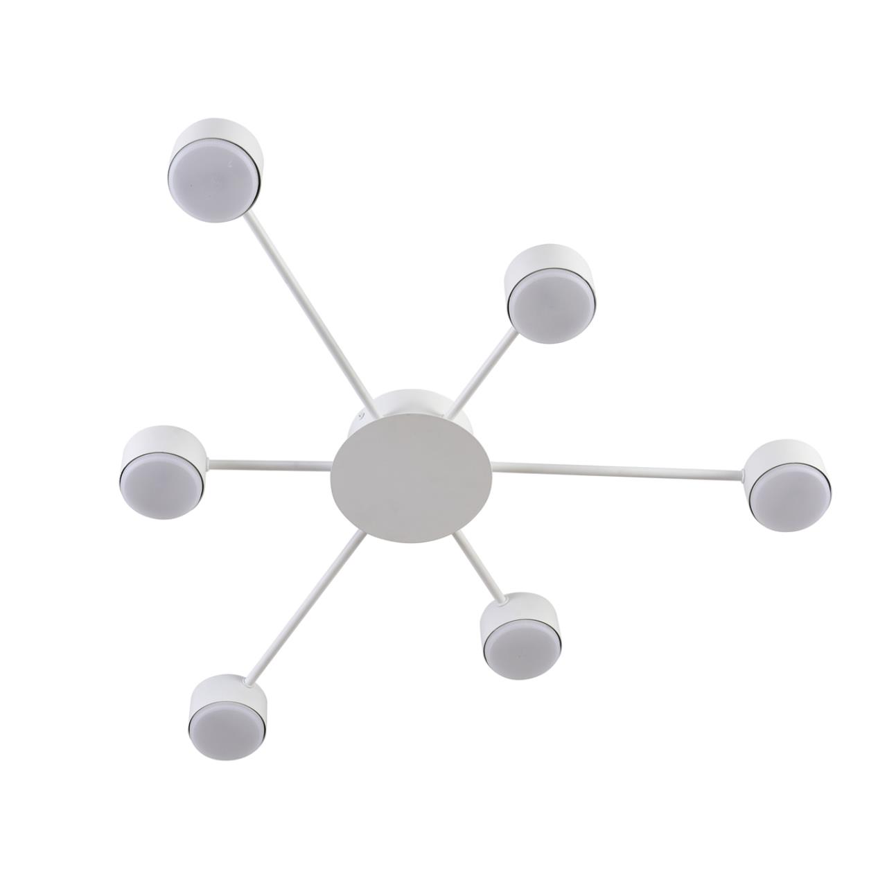 Потолочная люстра LUMION TORINA 8343/6C