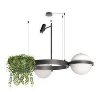 Подвесная люстра Loft IT Jardin 10121/2 Dark grey_LF