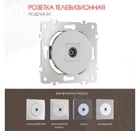 Розетка TV Arte Milano 202.43-1.silver