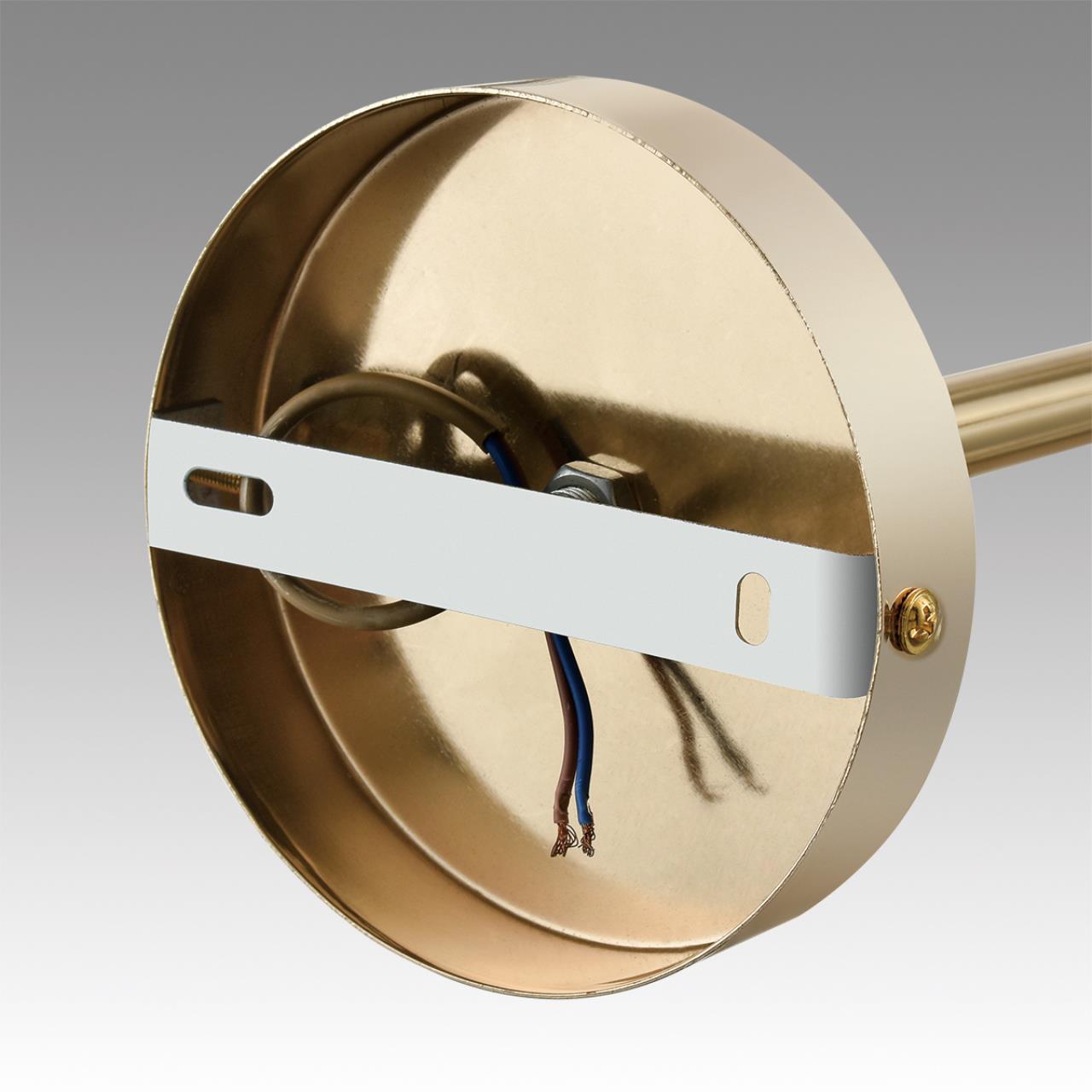 Подвесная люстра Lumion KASSIA 6586/10