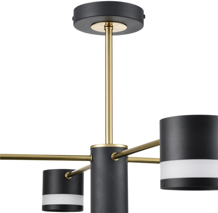 Потолочная люстра Lumion LANIKA 8240/8C