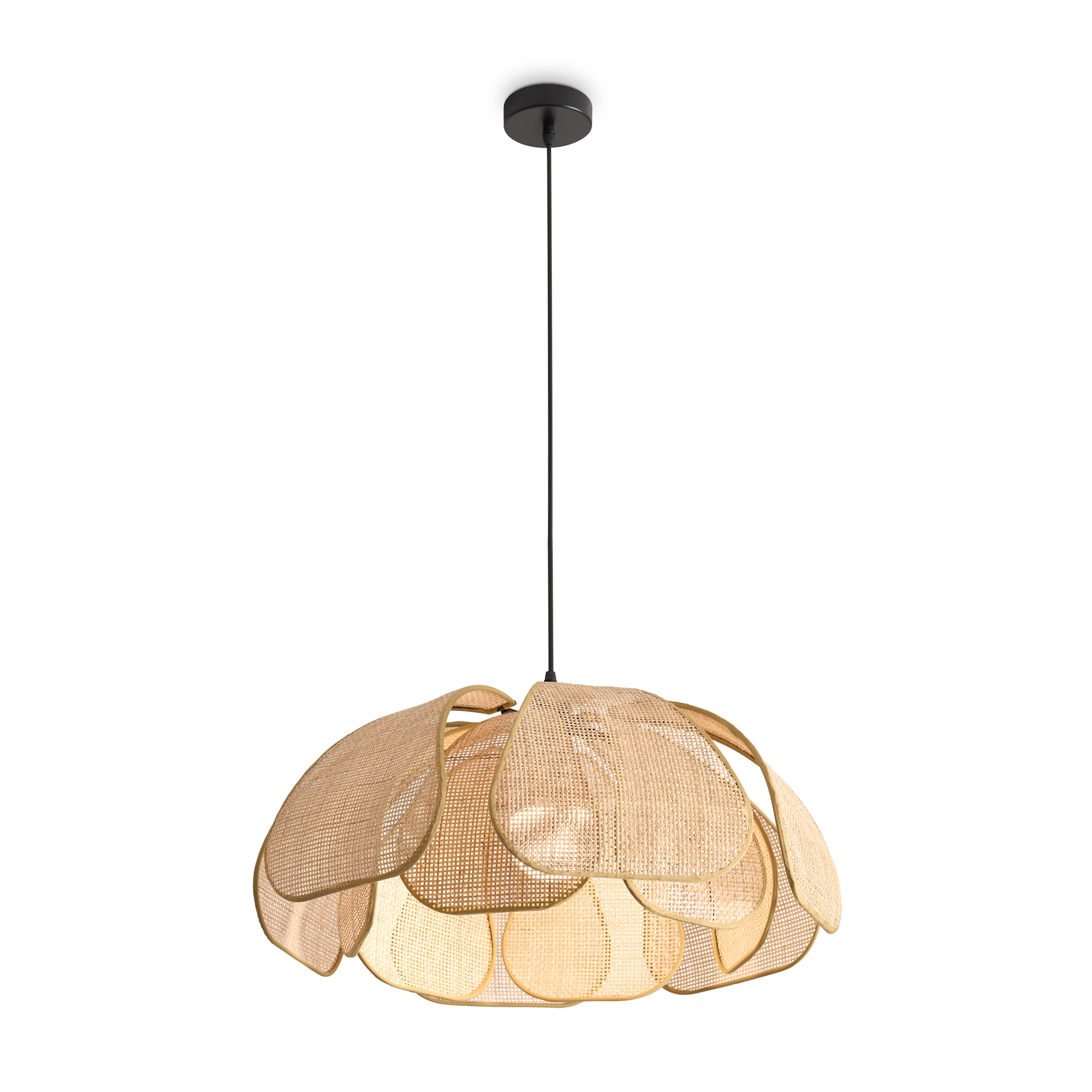 Подвесной светильник Freya Cocoon FR5529PL-01B_MY