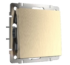 Выключатель одноклавишный Werkel WL10-SW-1G a051426_WR