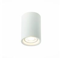 Потолочный светильник ST Luce ST114 ST114.507.01