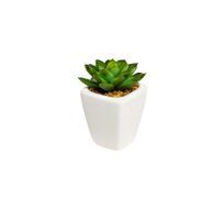 Суккулент в горшочке Garda Decor 8J-1735382