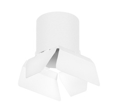 Накладной светильник LightStar Rullo R3486486_LS