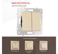 Выключатель двухклавишный 10AX 250V Arte Milano 203.30-2.shampan