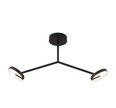 Потолочная люстра Favourite Paritet 4401-2C