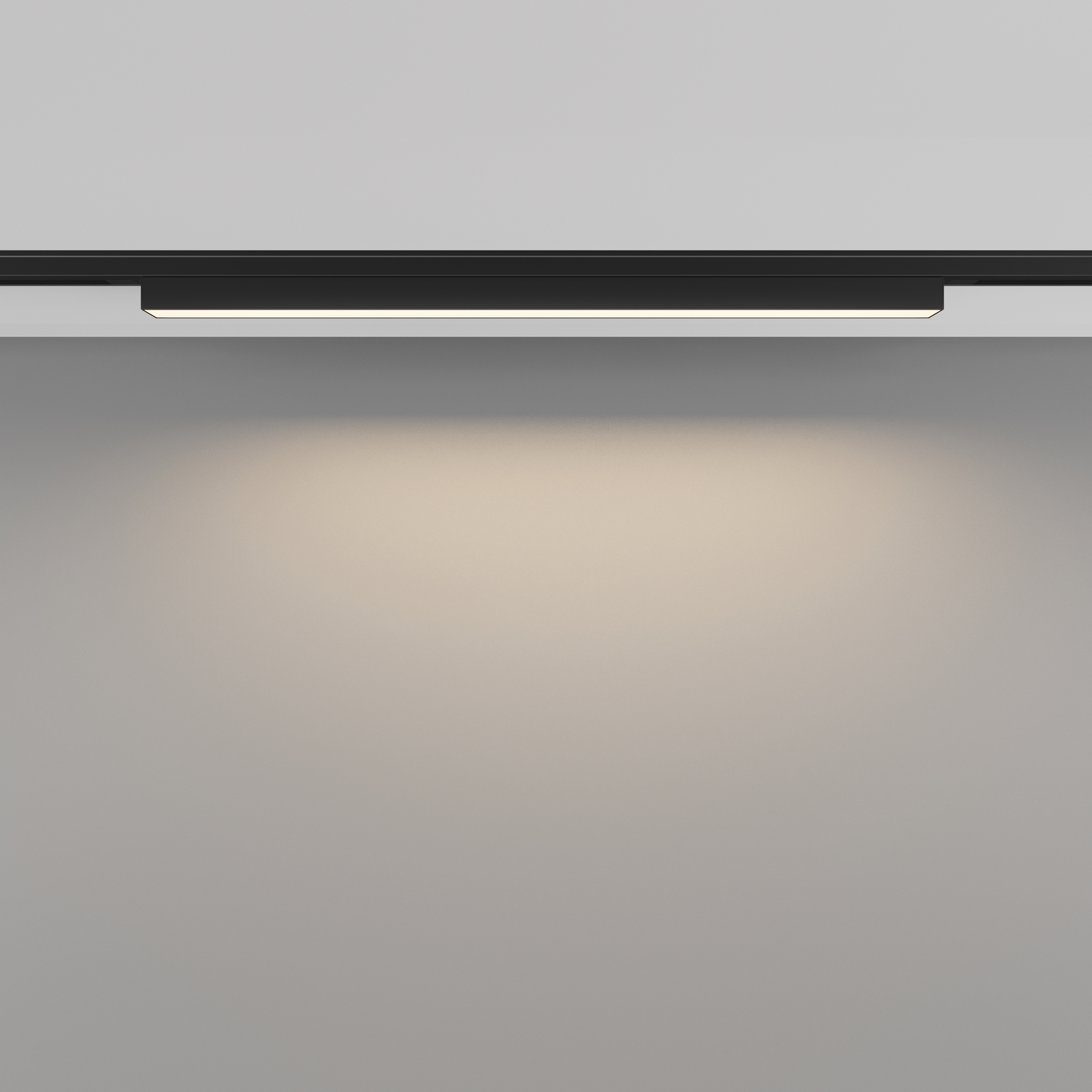 Трековый светильник Maytoni Basis TR192-1-12W3K-B_MY