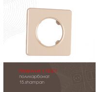 Рамка из поликарбоната на 1 пост Arte Milano 502.15-1.shampan