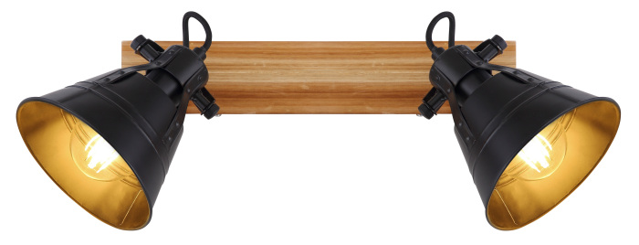 Спот Globo Gunther 15466S-2_GL