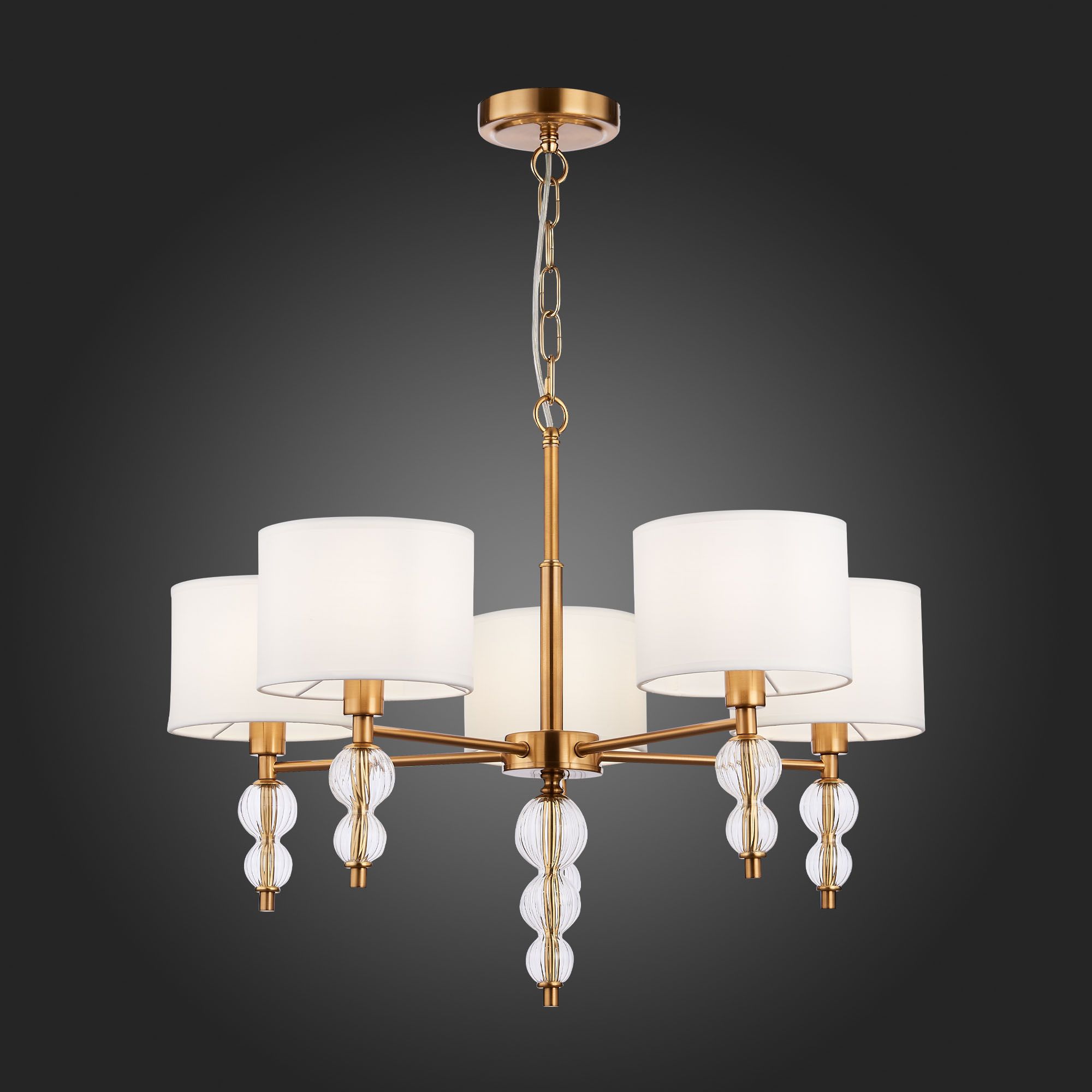 Подвесная люстра Evoluce RAMER SLE105713-05