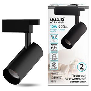 

Трековые светильники Gauss, TR065