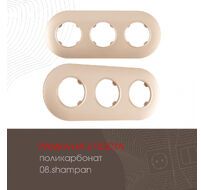 Рамка из поликарбоната на 3 поста Arte Milano 502.08-3.shampan