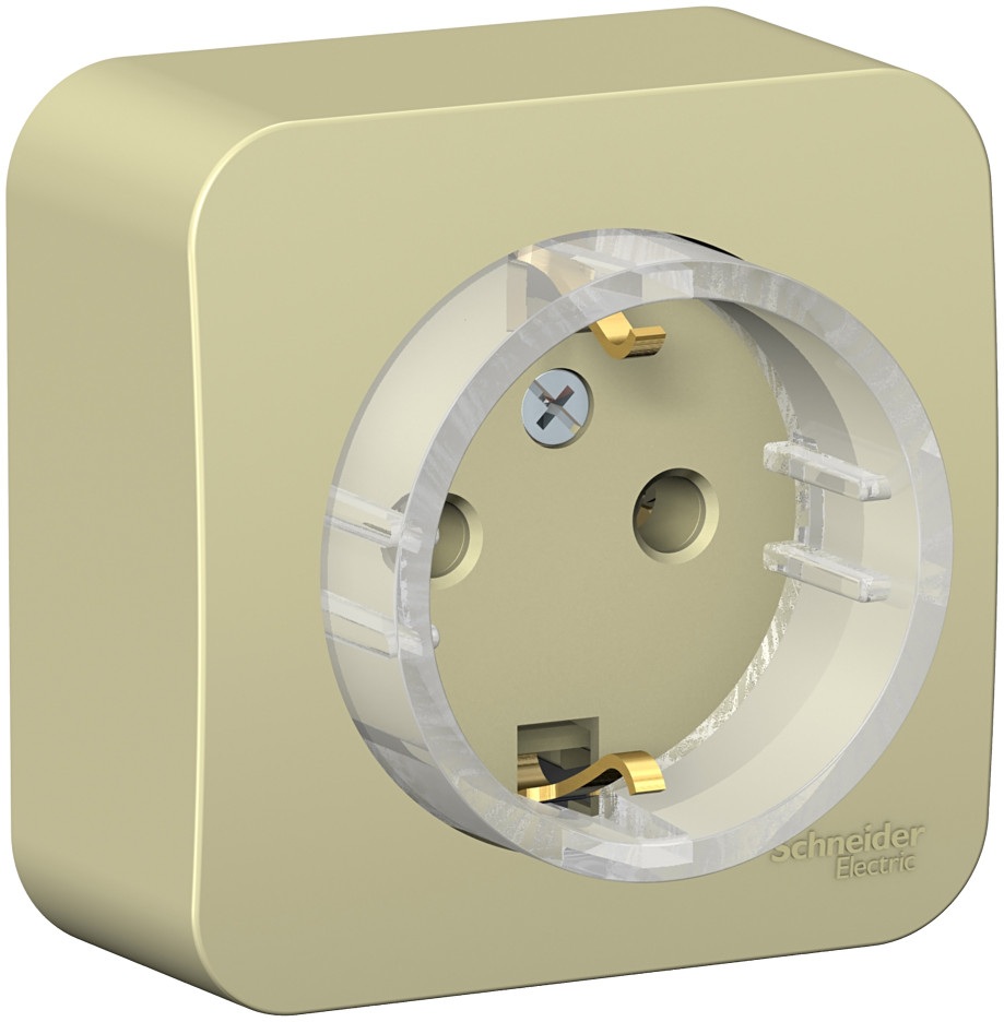 Розетка накладная с заземлением (бежевый) Systeme Electric BLNRA110117