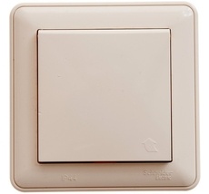 Розетка встраиваемая с заземлением, шторками и крышкой (слоновая кость) IP44 Systeme Electric RS16-152B-28