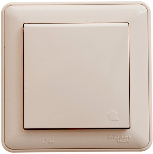 Розетка встраиваемая с заземлением, шторками и крышкой (слоновая кость) IP44 Systeme Electric RS16-152B-28