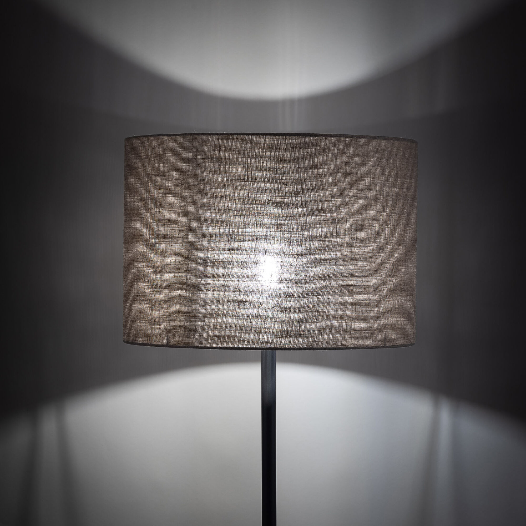 Торшер TK Lighting Earth a068593_EU