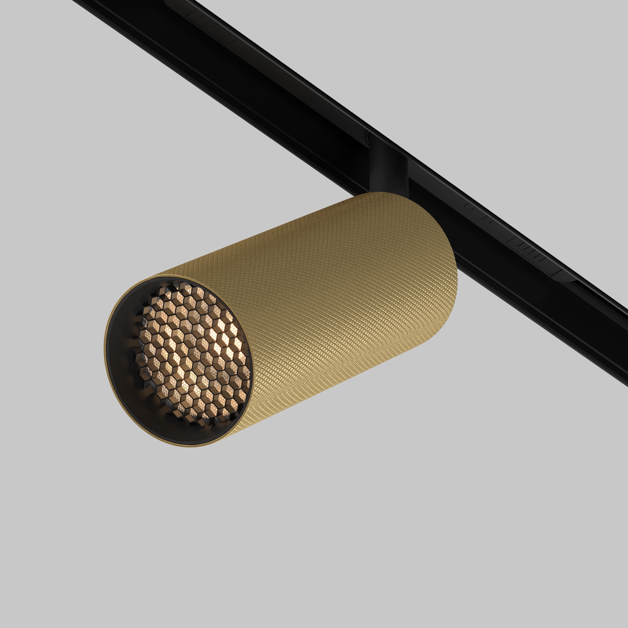 Трековый светильник Maytoni Artisan TR097-2-12W3K-M-BMG_MY