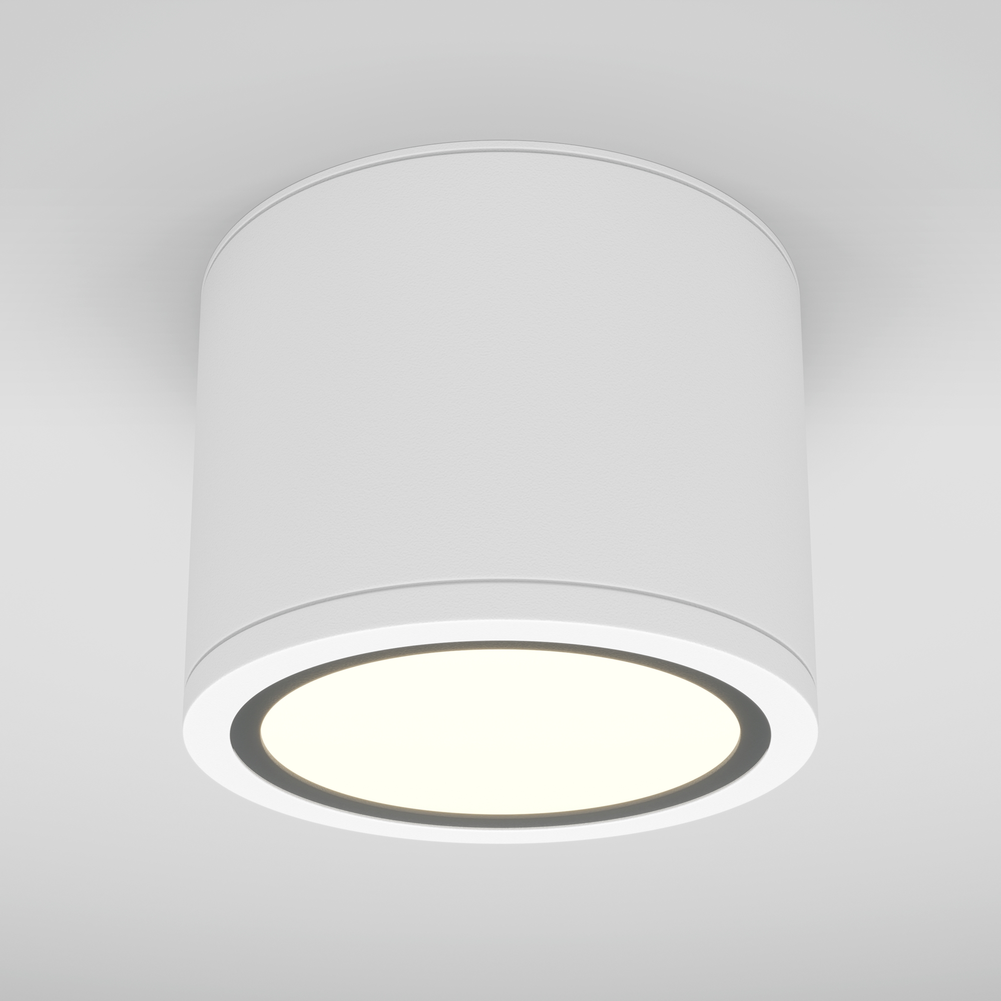 Накладной светильник Maytoni Rendo C095CL-GX53-W_MY