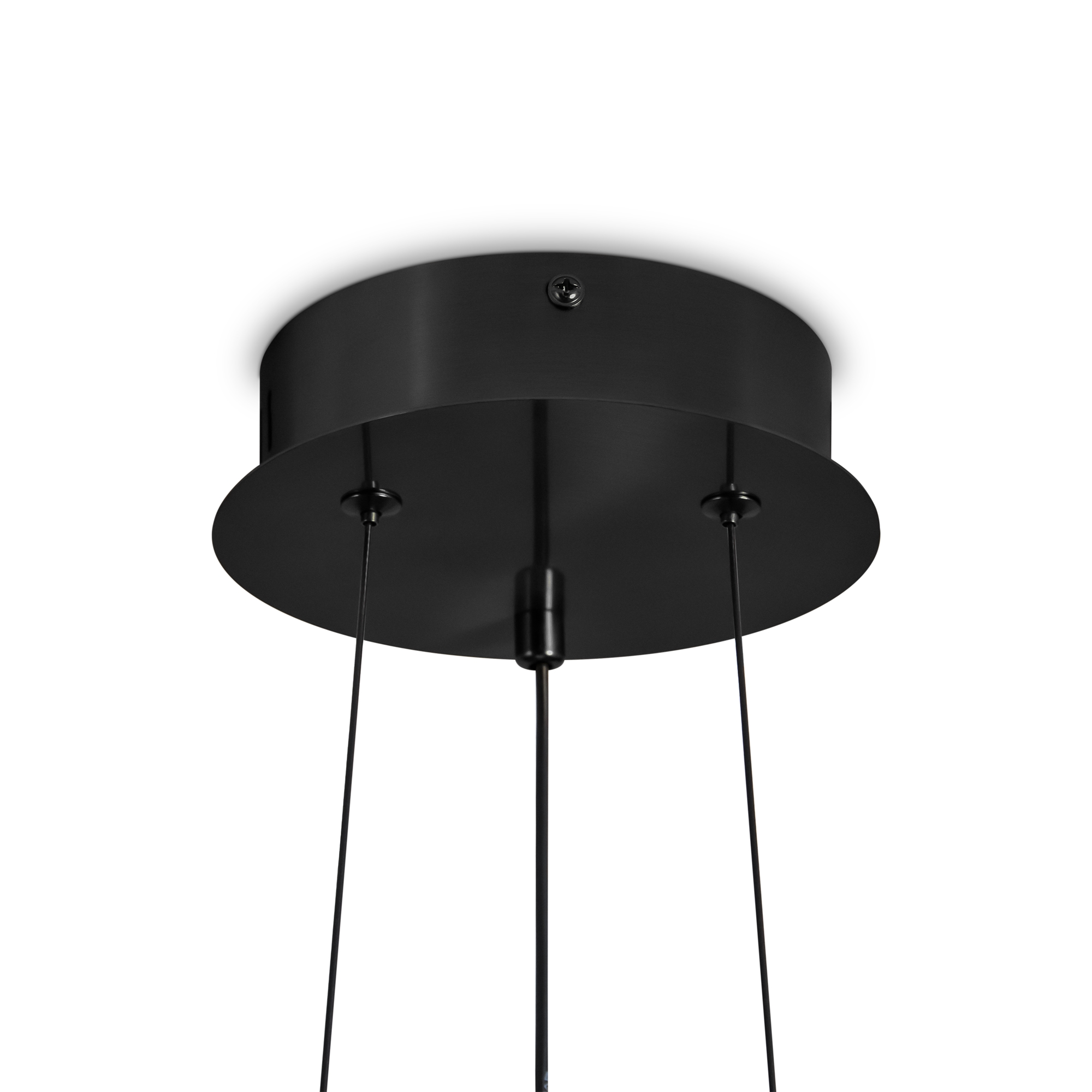 Подвесной светильник Freya Citrus FR5398PL-L8B_MY