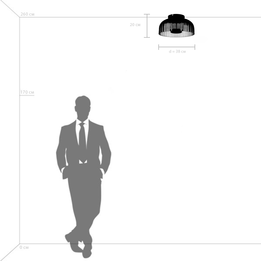 Потолочный светильник Lightstar Celesta 809061_LS