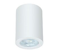 Накладной светильник ArteLamp TINO A1468PL-1WH